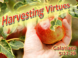 Harvesting Virtues