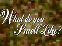 July Sermon - What Do You Smell Like?